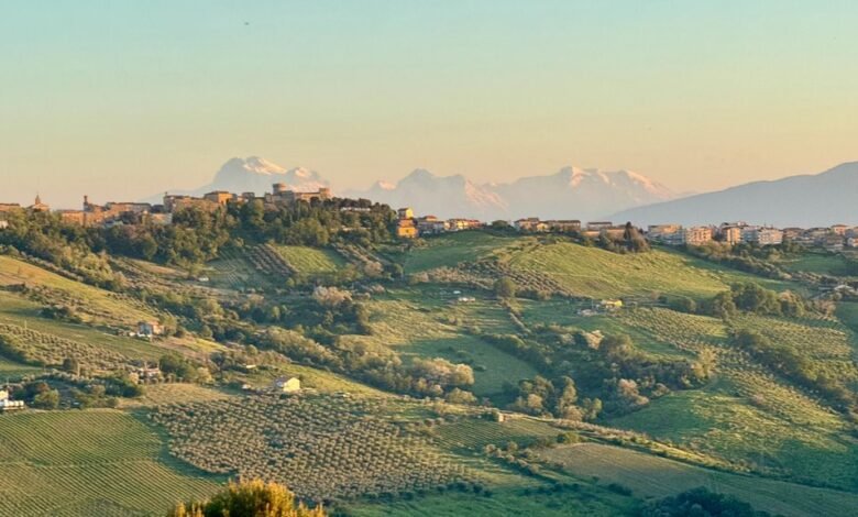 regional session participation ratios