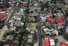 short code traffic analysis