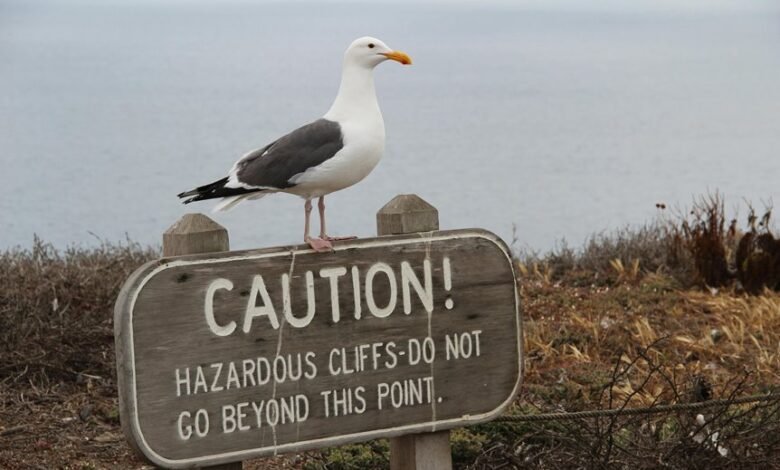 unfamiliar term requiring clarification